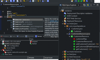 Java开发工具MyEclipse发布v2026.1：支持Java25和Spring Boot4、AI功能升级